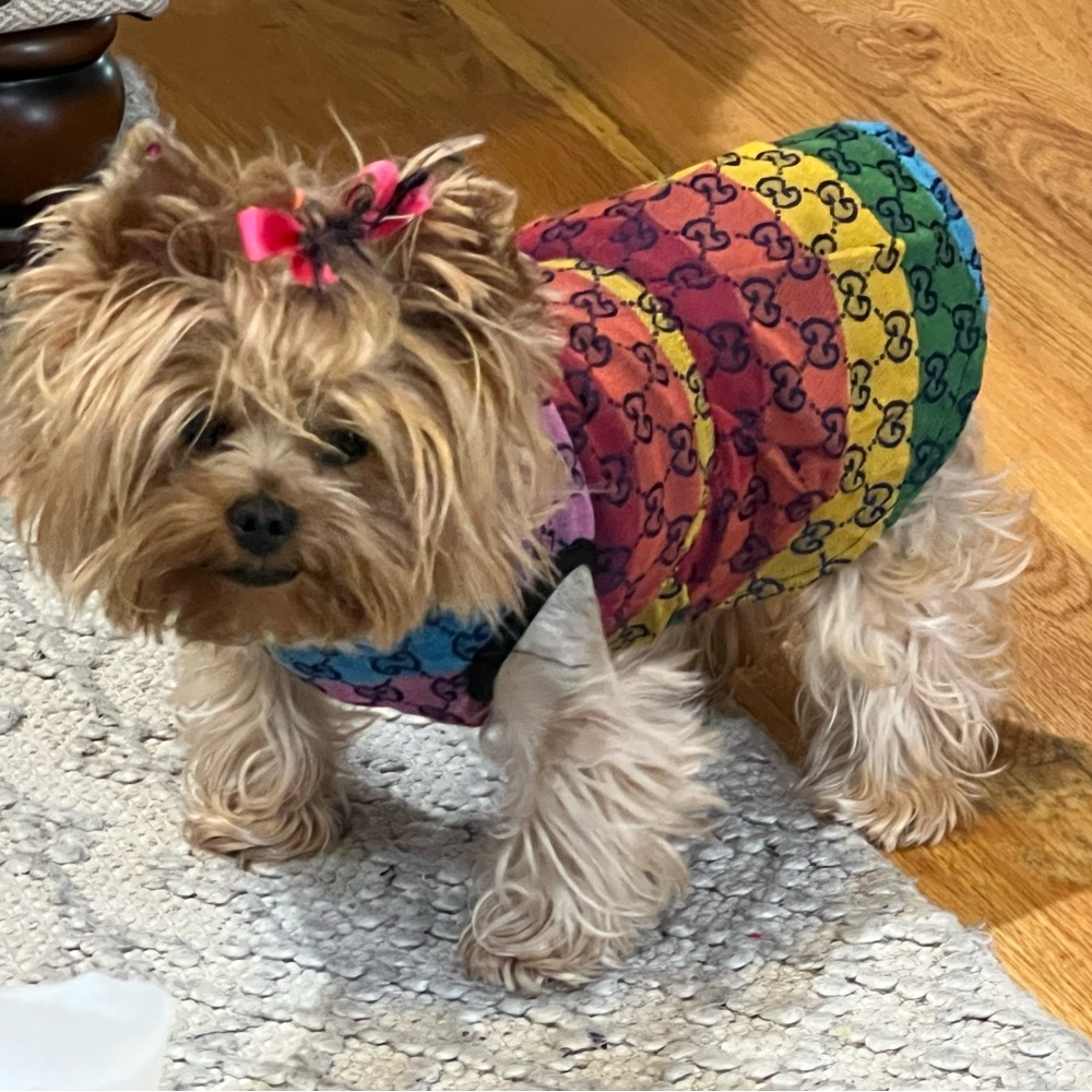 Beautiful inspired G doggy coat.  Message size - Picture 7 of 8